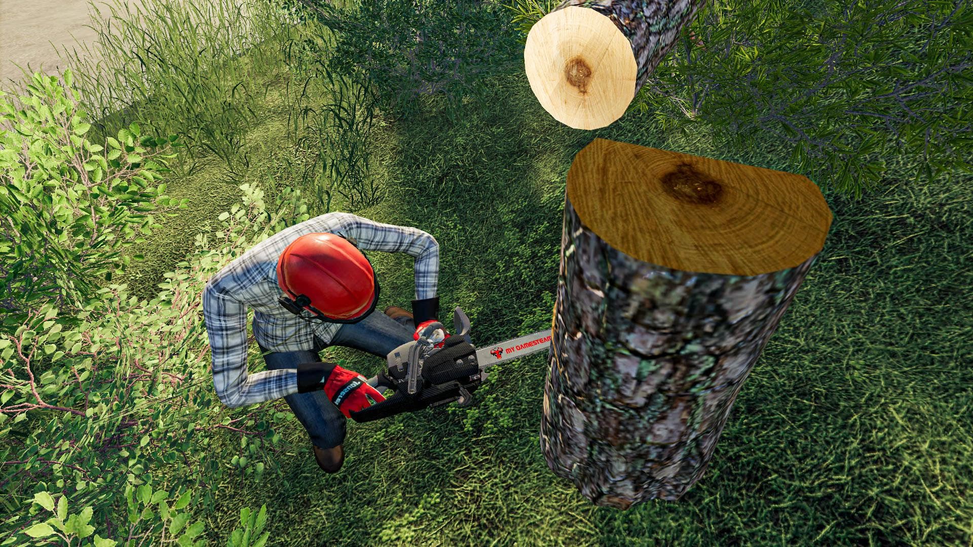 CARBON CHAINSAW 2