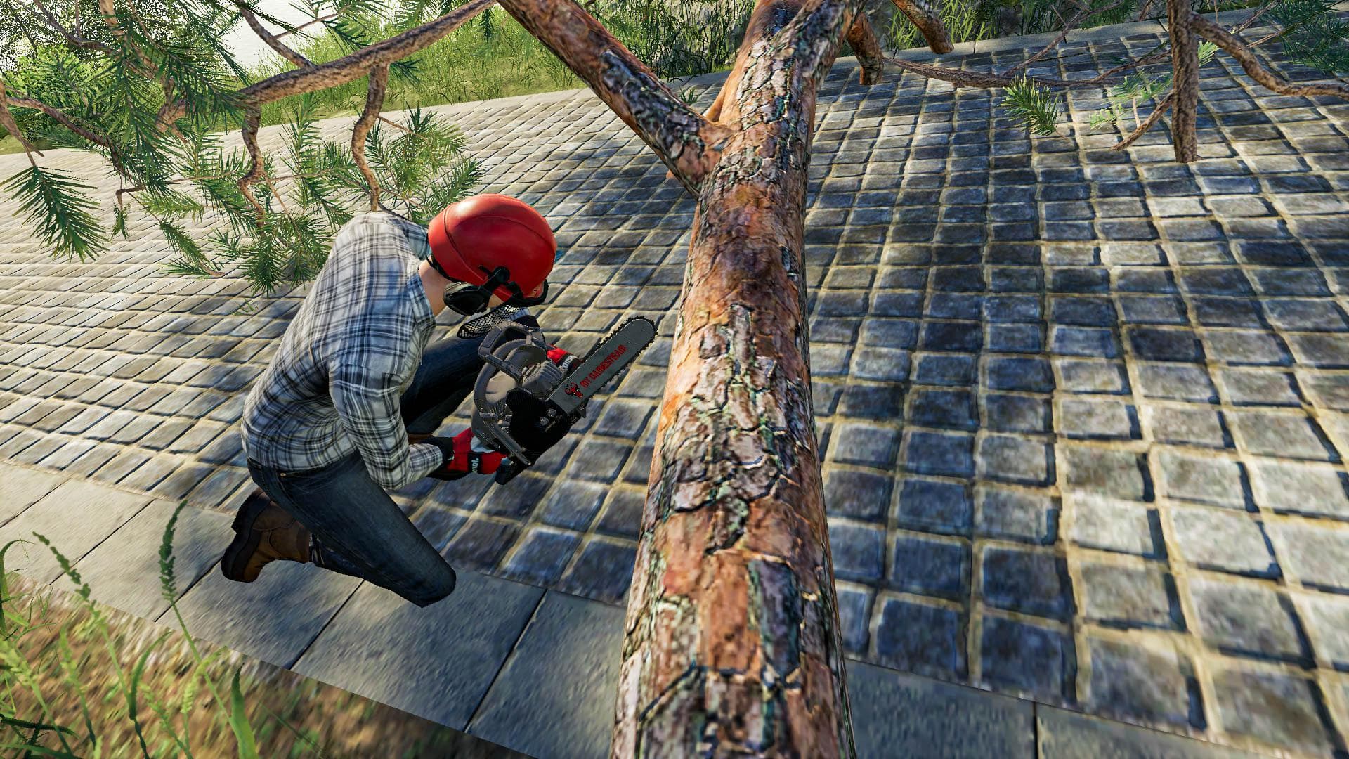CARBON CHAINSAW