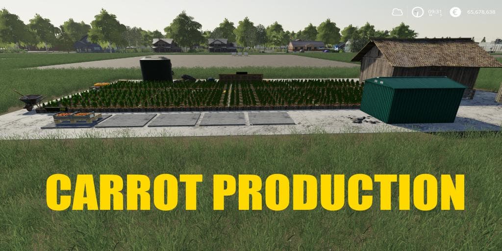 CARROT PRODUCTION 2