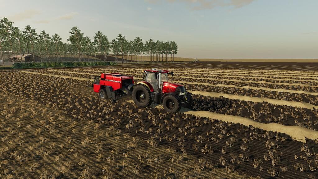 CASE 8575 4