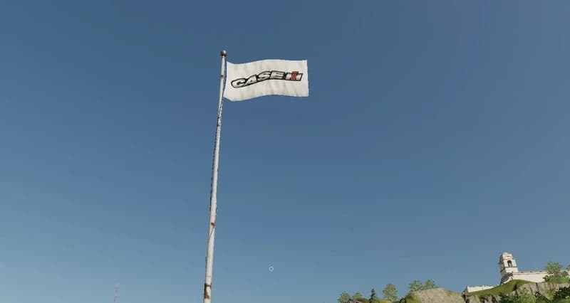 CASE FLAG