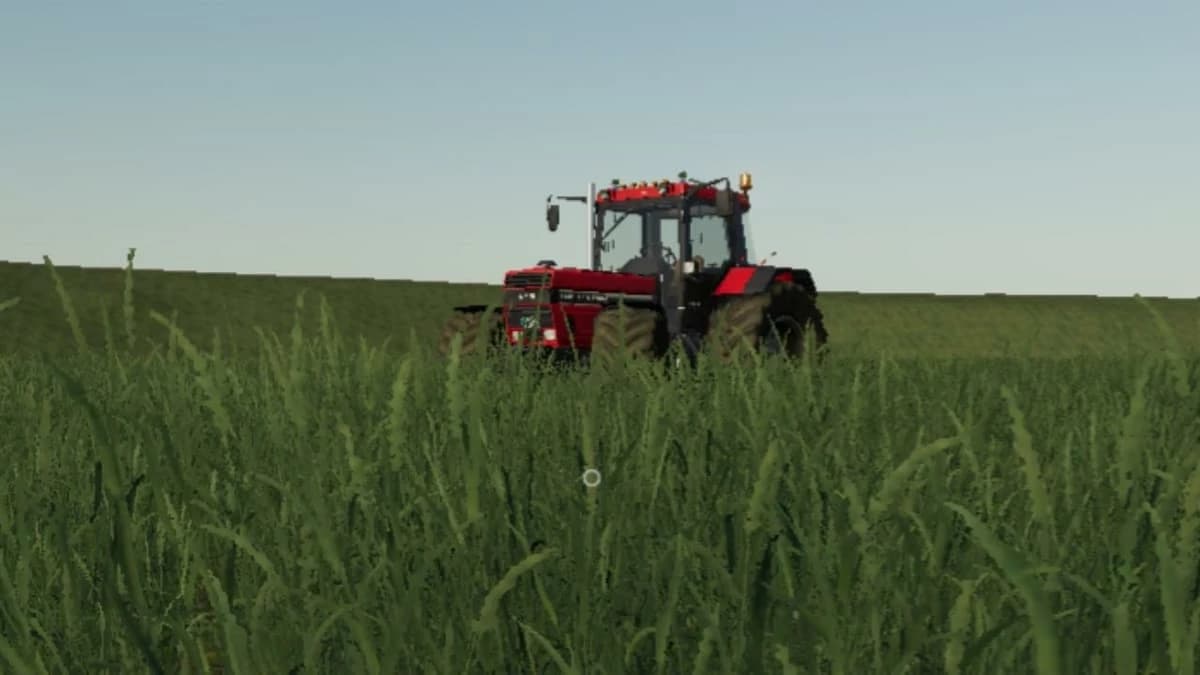 CASEIH 1255/1455 XL RIPPIE08
