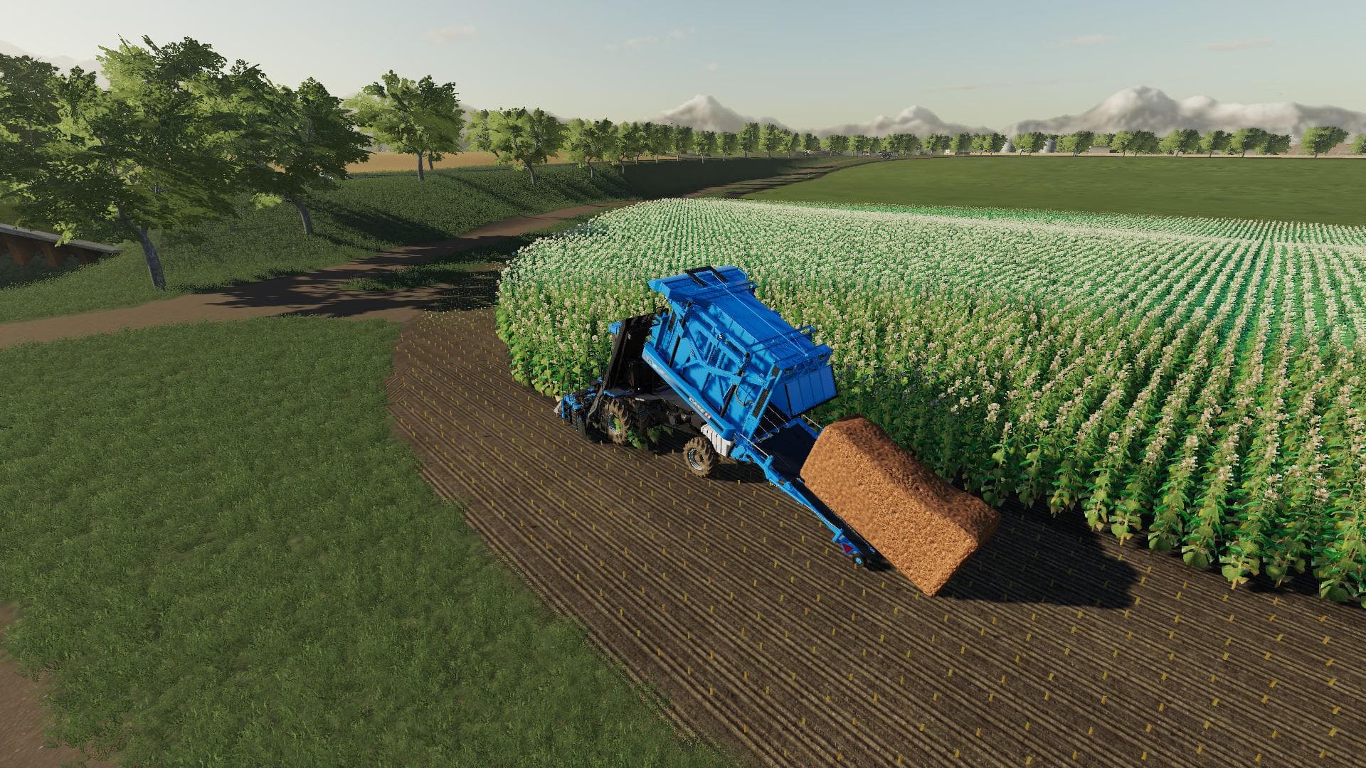 CASE IH 635 3