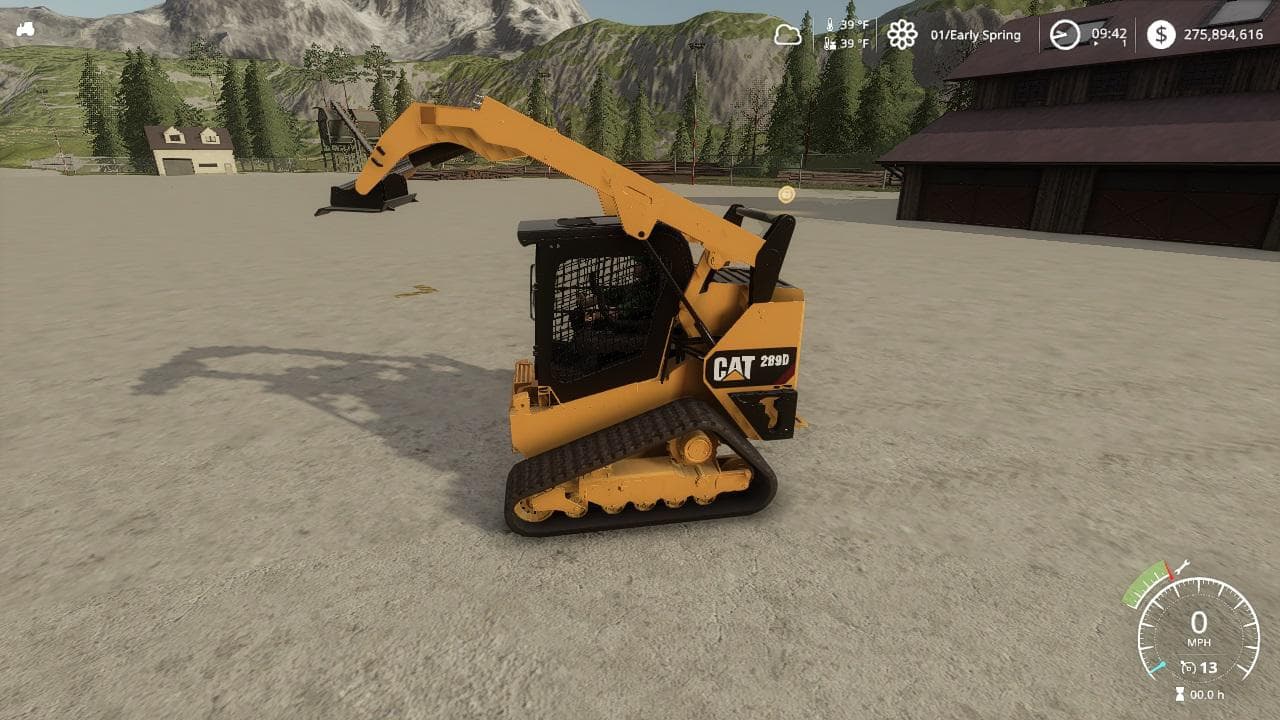 CAT 289D 2