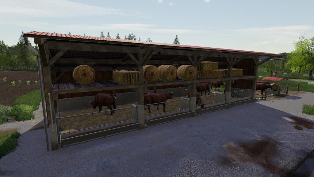 CATTLE BARN WITH STRAWSTAGE 5