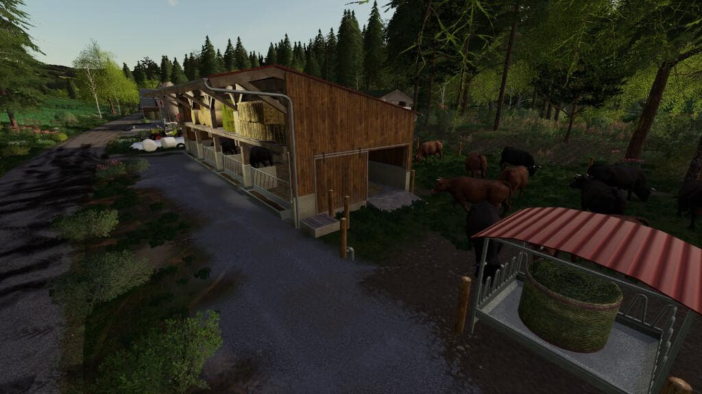 CATTLE BARN WITH STRAWSTAGE 4