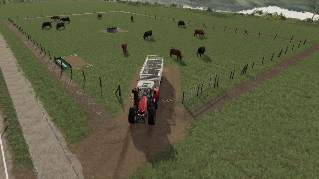 CATTLE PASTURE 5