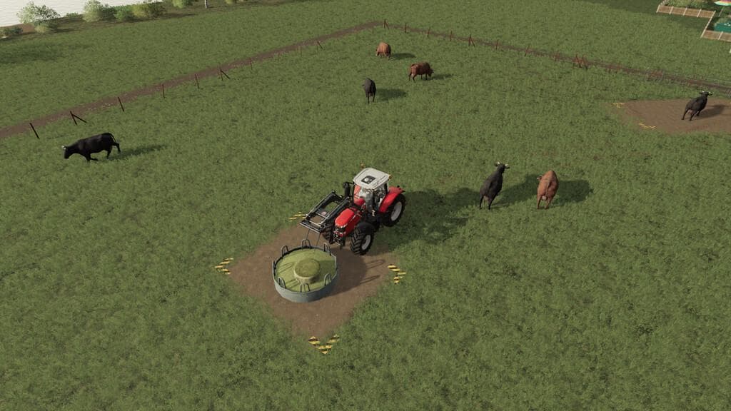 CATTLE PASTURE 3