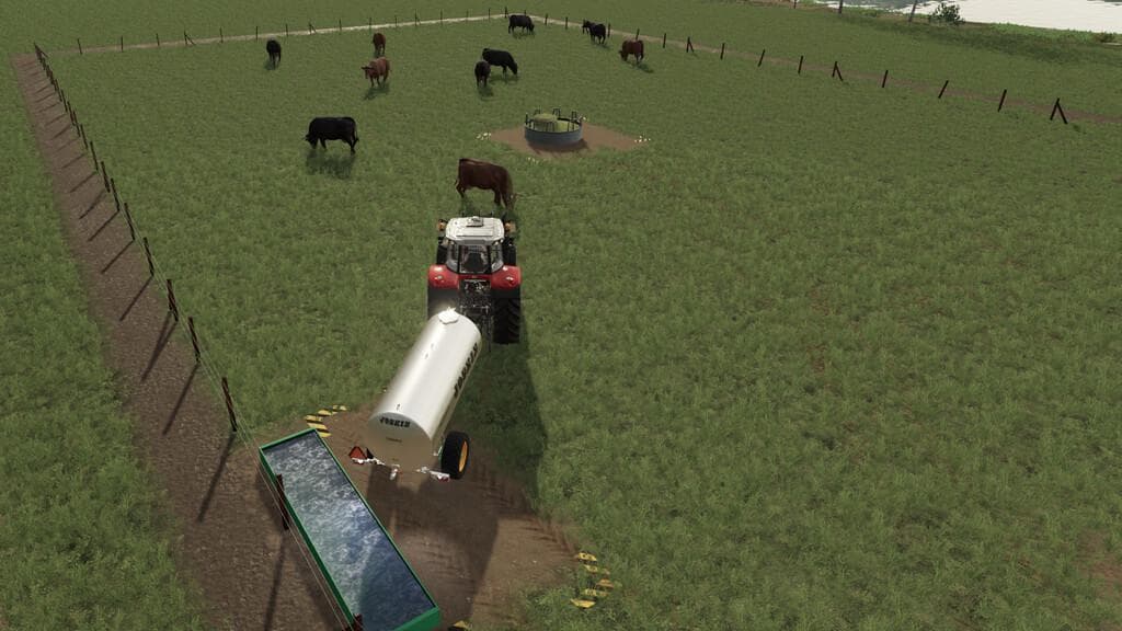 CATTLE PASTURE 2