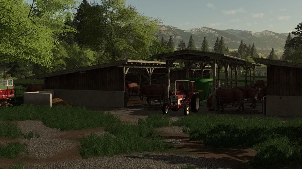 CATTLE STABLE 4