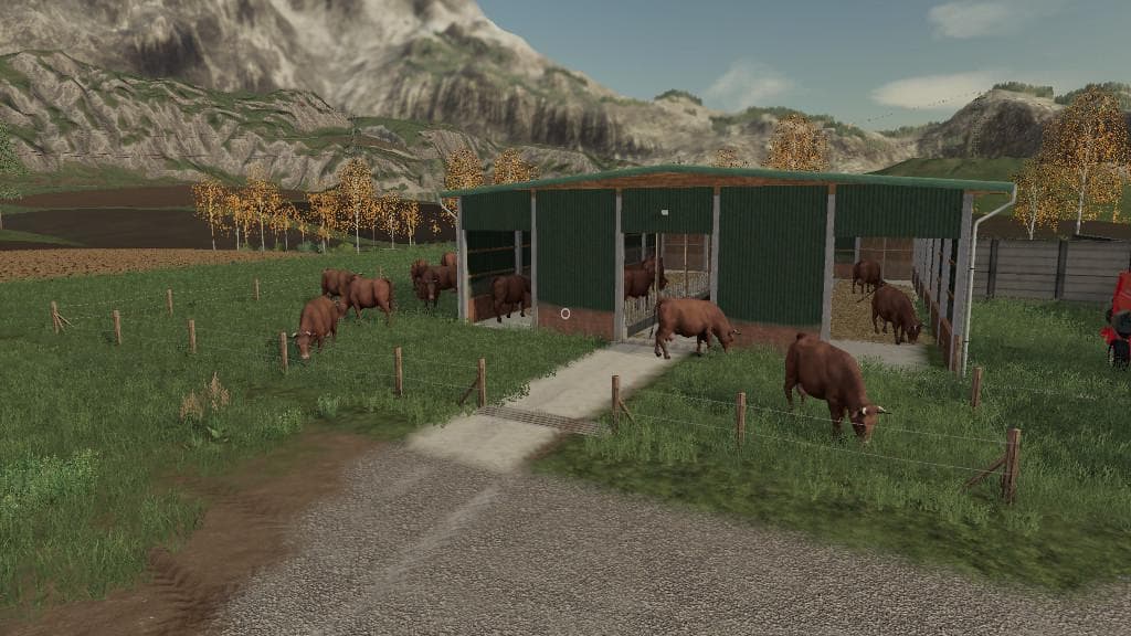 CATTLERANCH 4