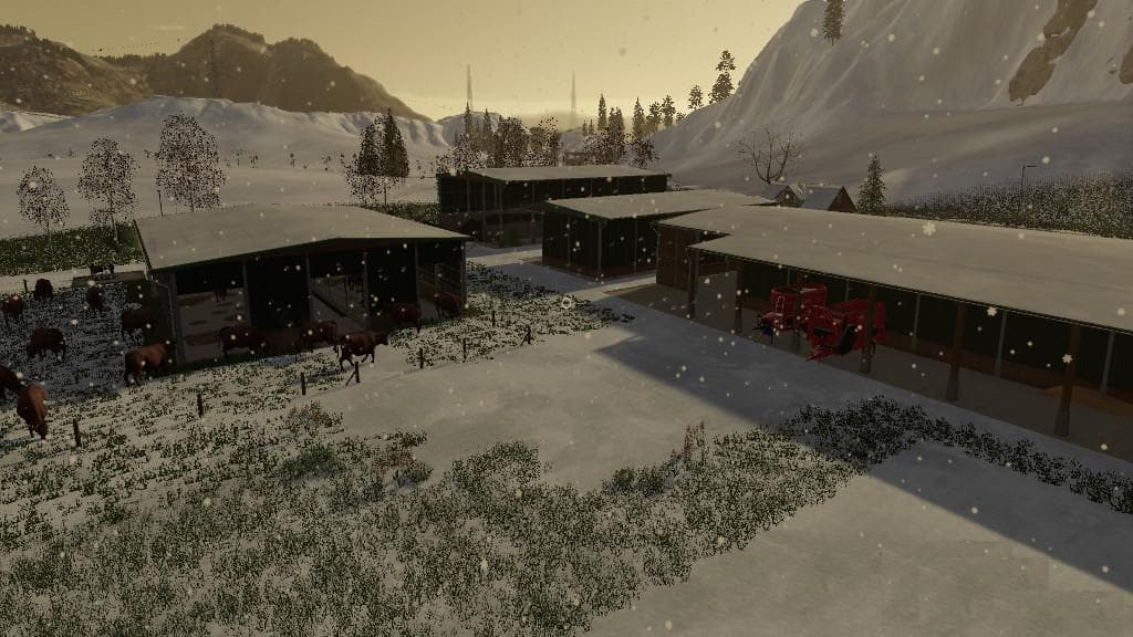 CATTLERANCH