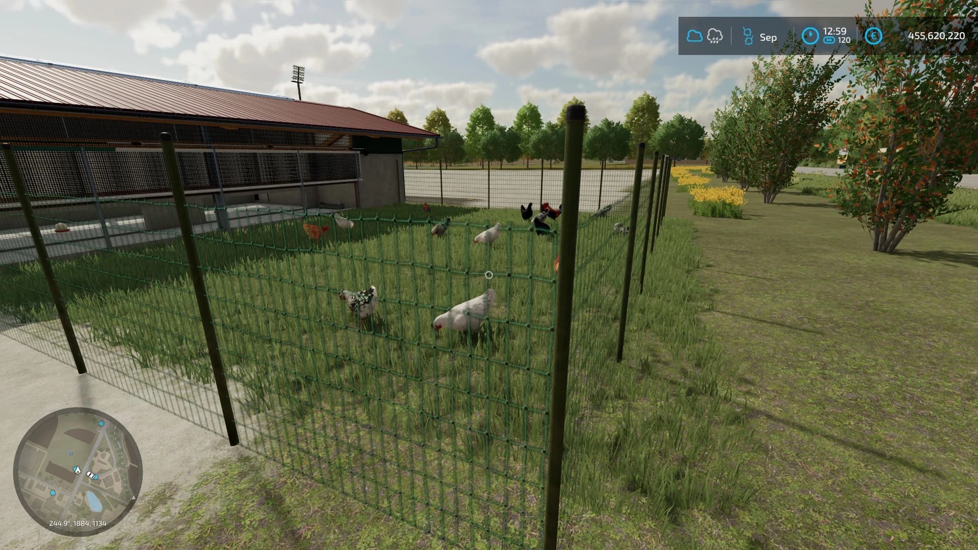 CHICKEN BARN BIG