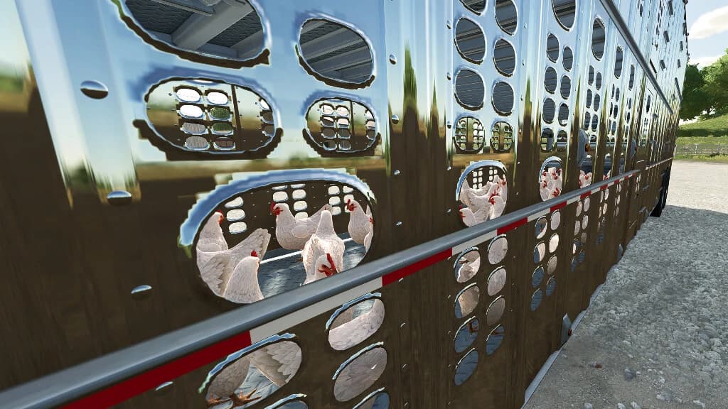 CHICKEN TRANSPORT TRAILERS 5