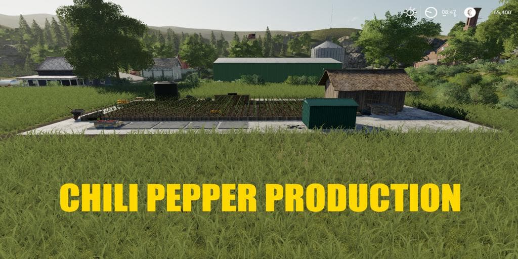 CHILI PEPPER GARDEN 3