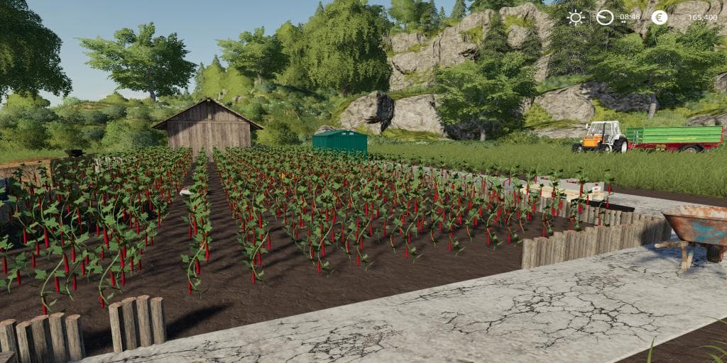 CHILI PEPPER GARDEN 2