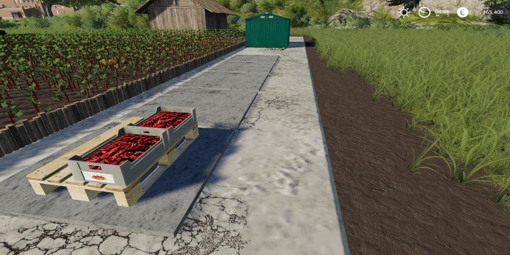 CHILI PEPPER GARDEN