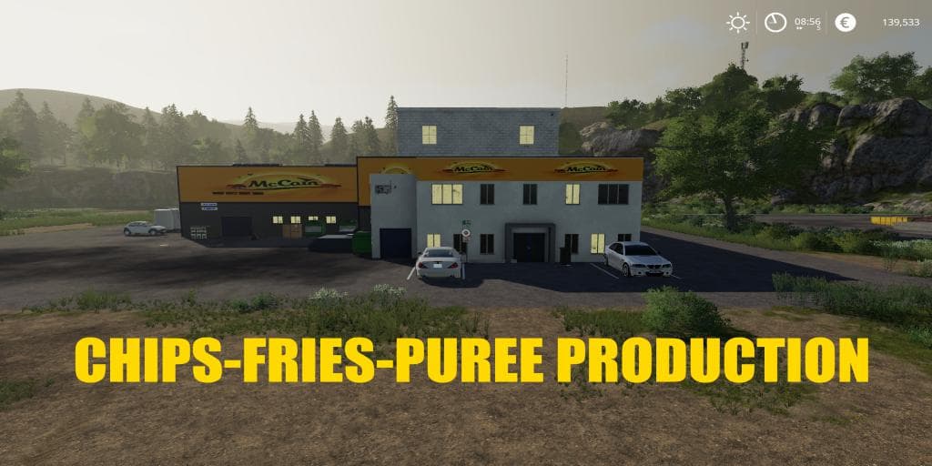 CHIPS PRODUCTION 5