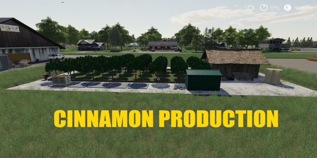 CINNAMON PRODUCTION 3