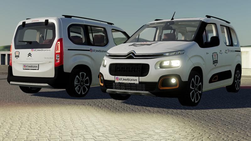 CITROEN BERLINGO 2019 IRL 4