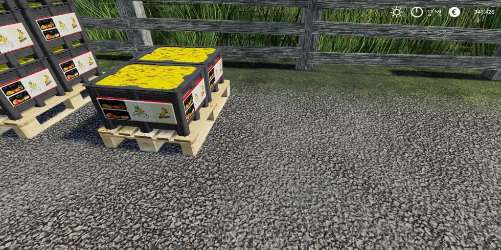 COCO BANANE PRODUCTION 2