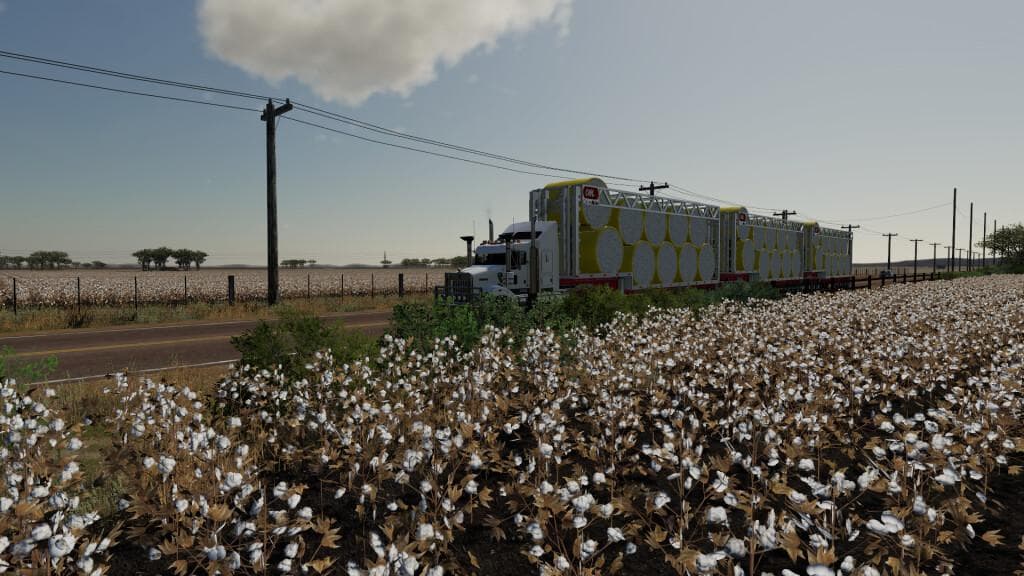 COLLIER MILLER COTTON-TRAILER