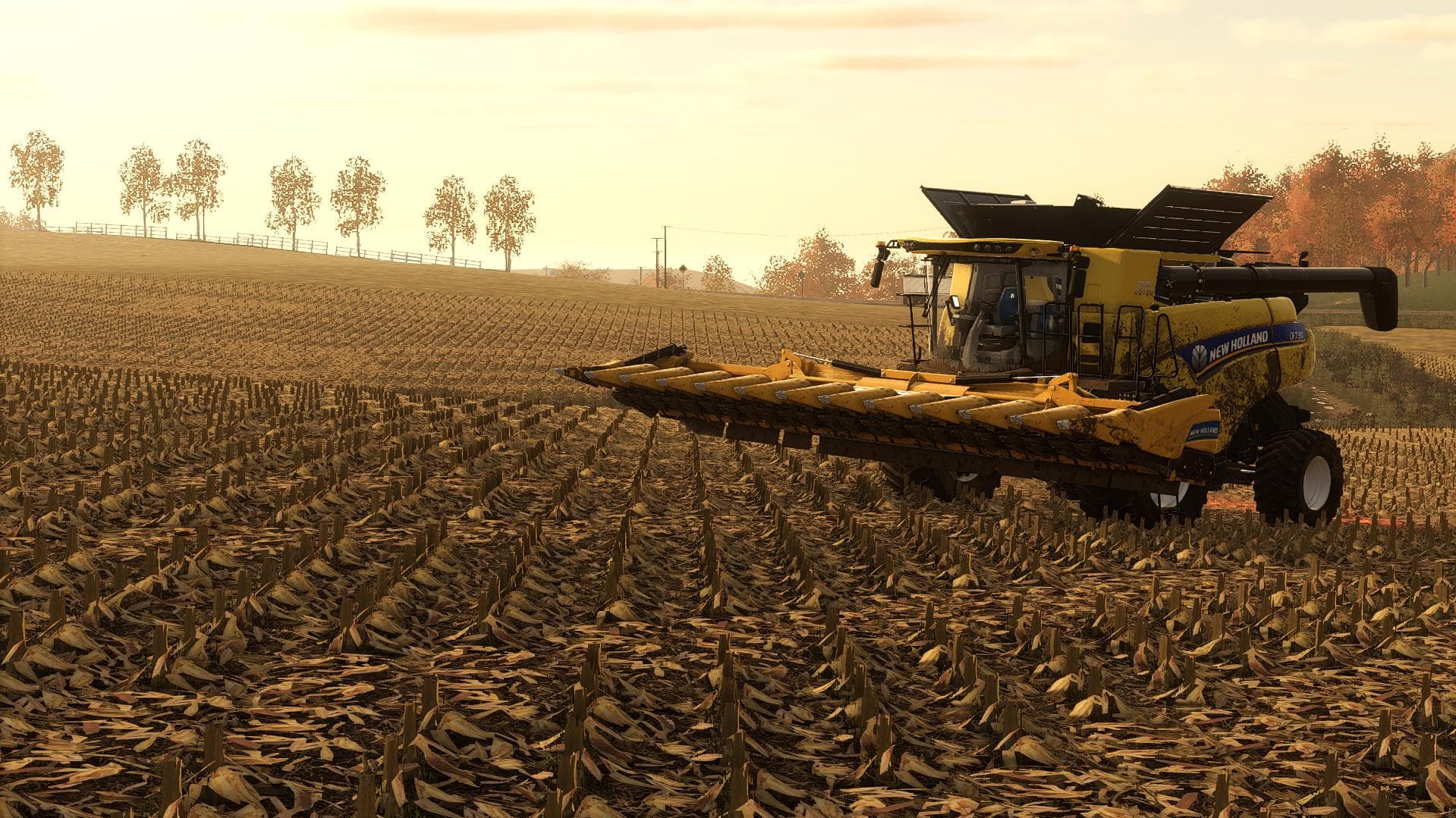 CORN &amp; SOYBEANS 5