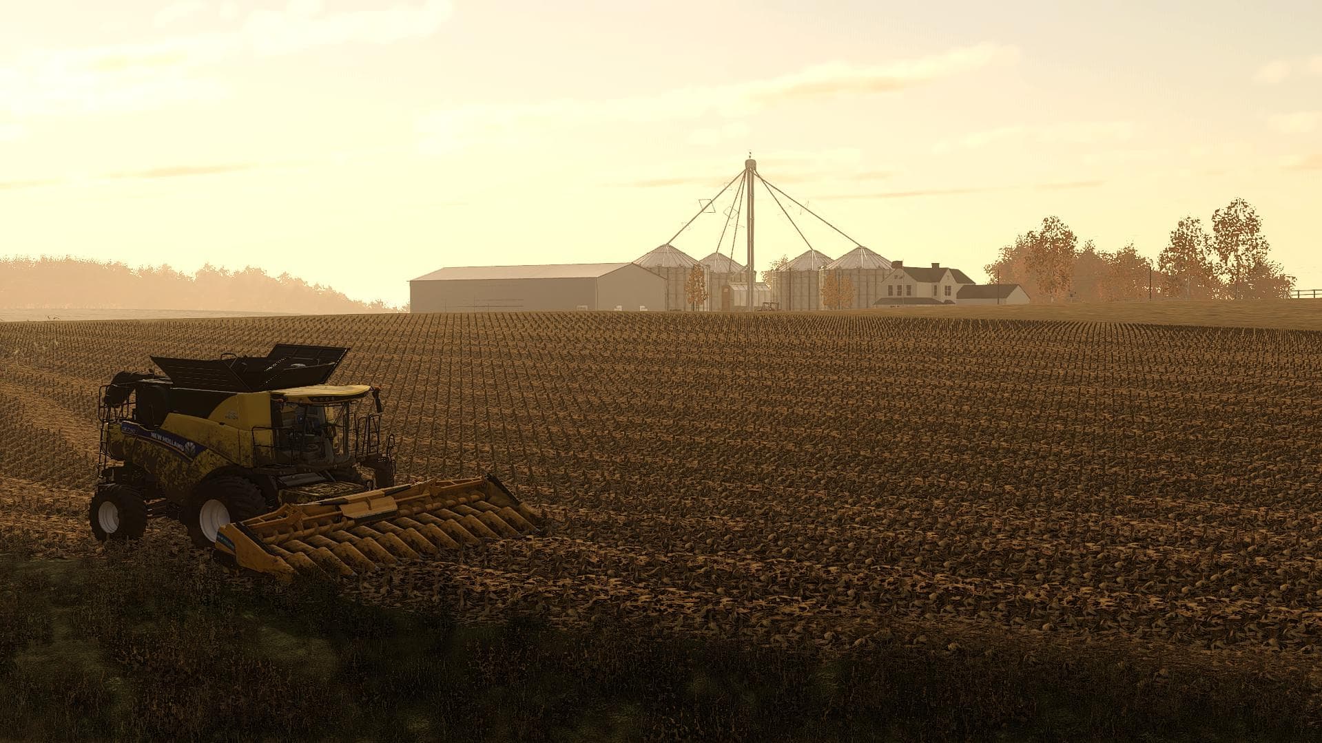CORN &amp; SOYBEANS 4