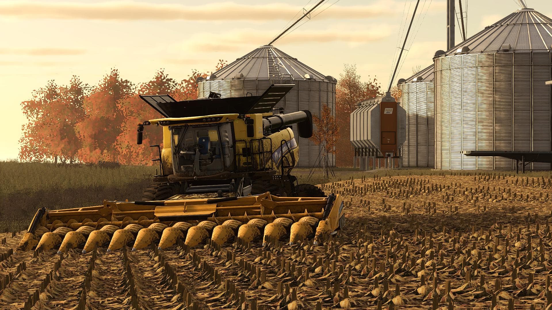 CORN &amp; SOYBEANS 3