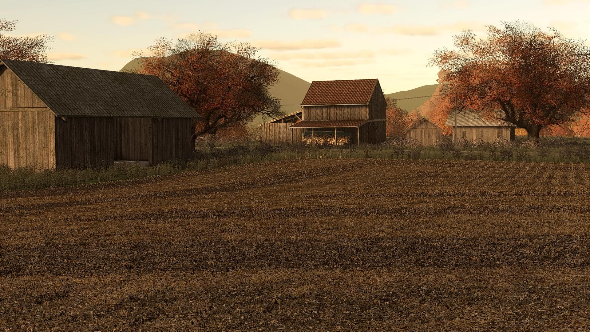 CORN &amp; SOYBEANS 2