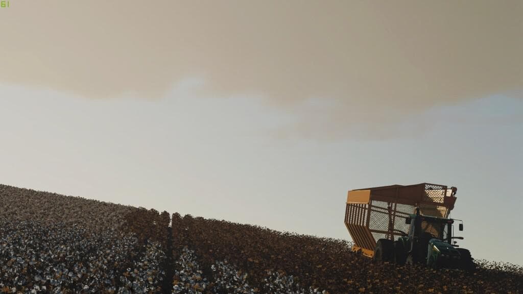 COTTON PACK BRAZIL 3