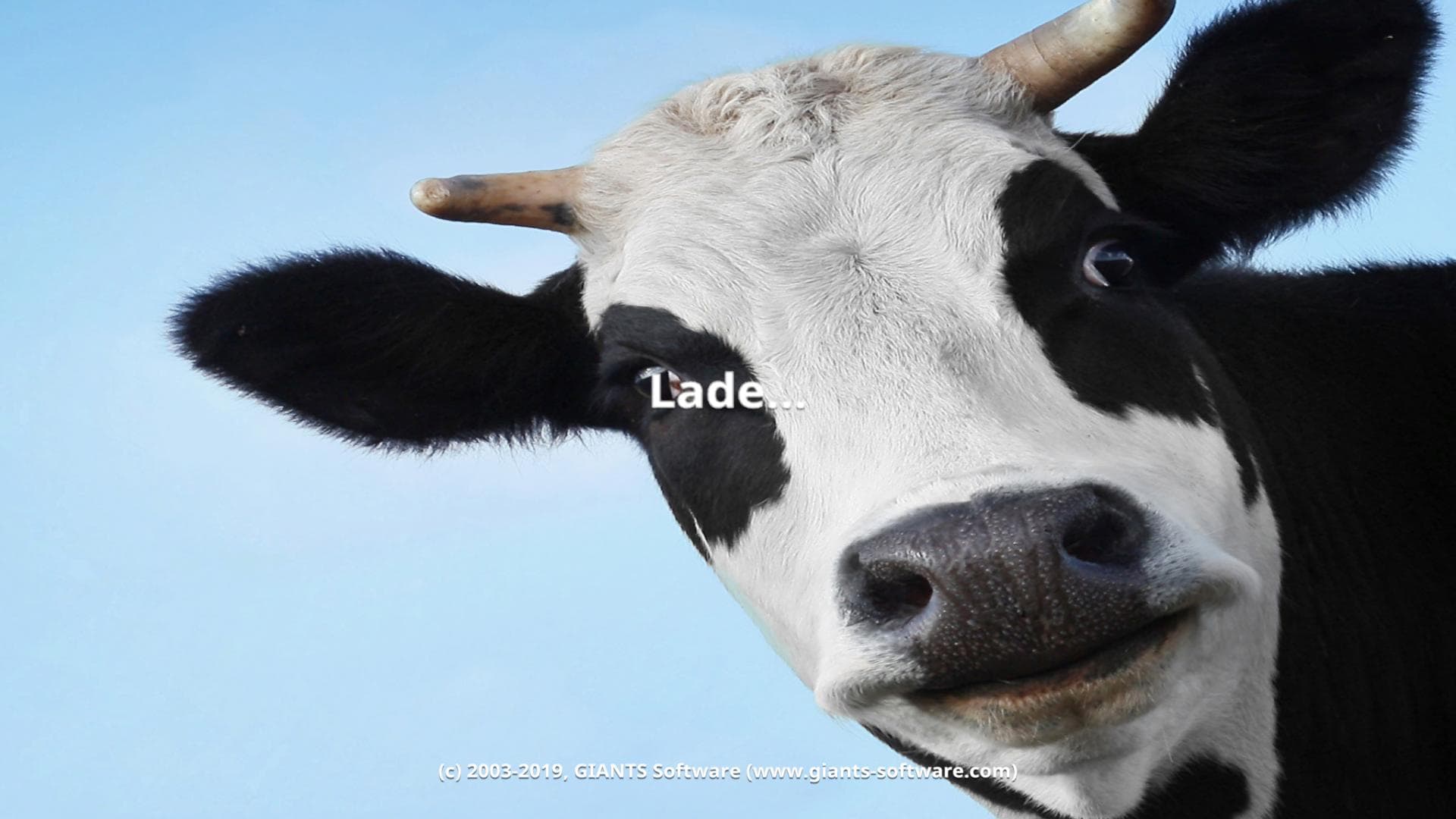 COW BACKGROUND