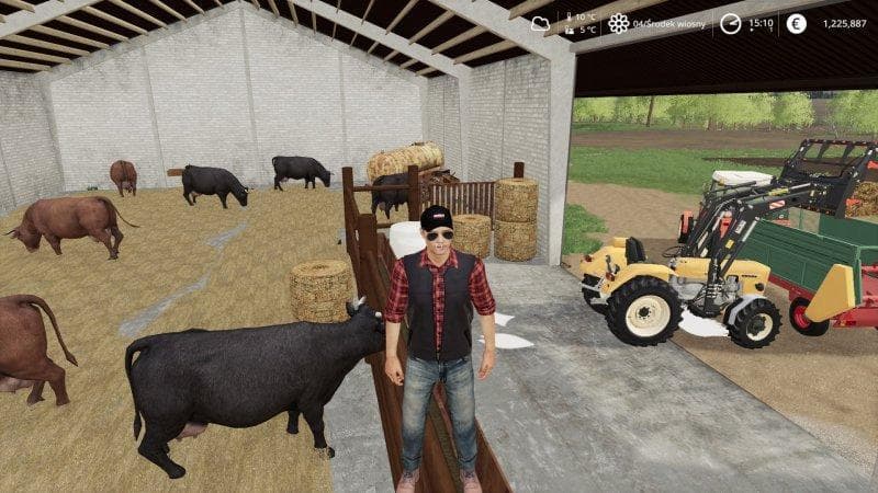 COW HUSBANDRY 4
