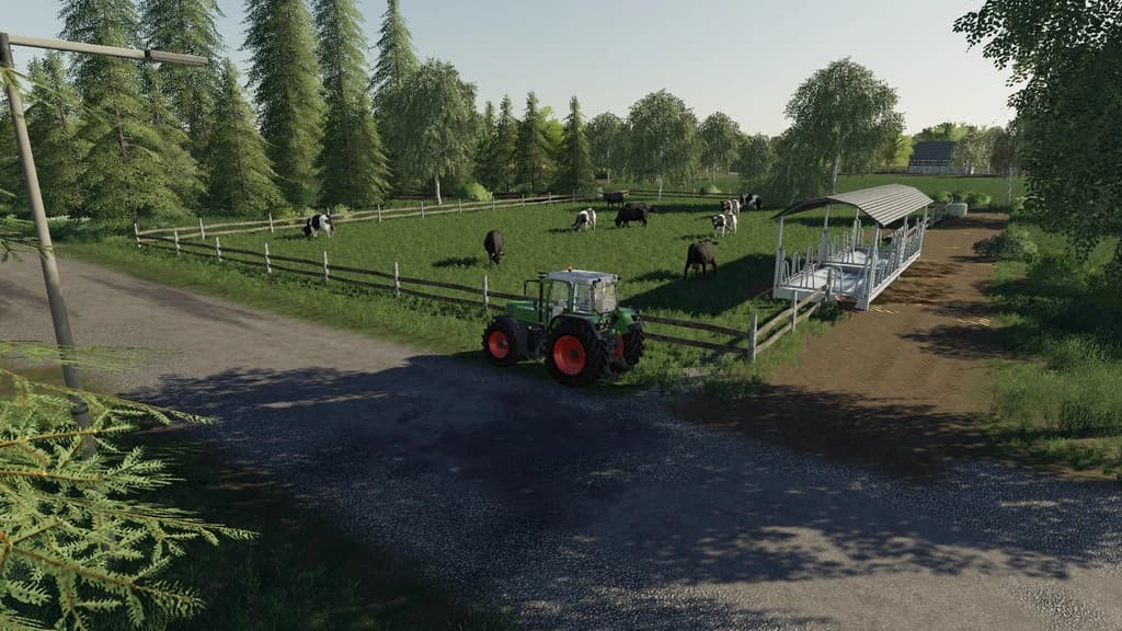 COW PASTURE 5