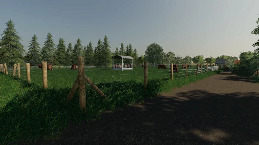 COW PASTURE 4