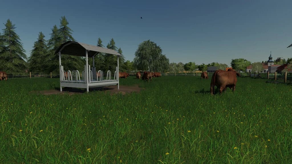 COW PASTURE 3
