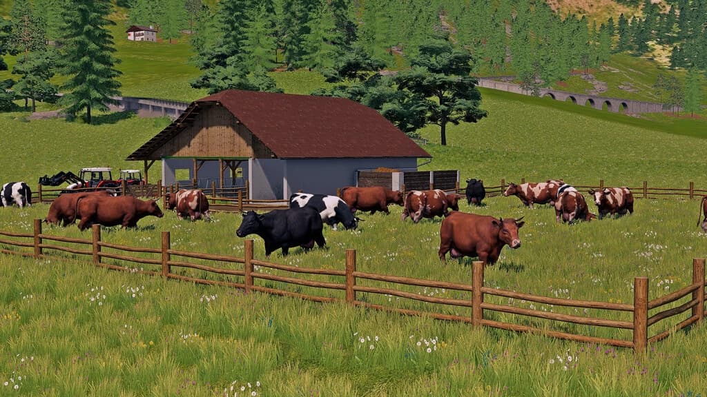 COW PASTURE 5