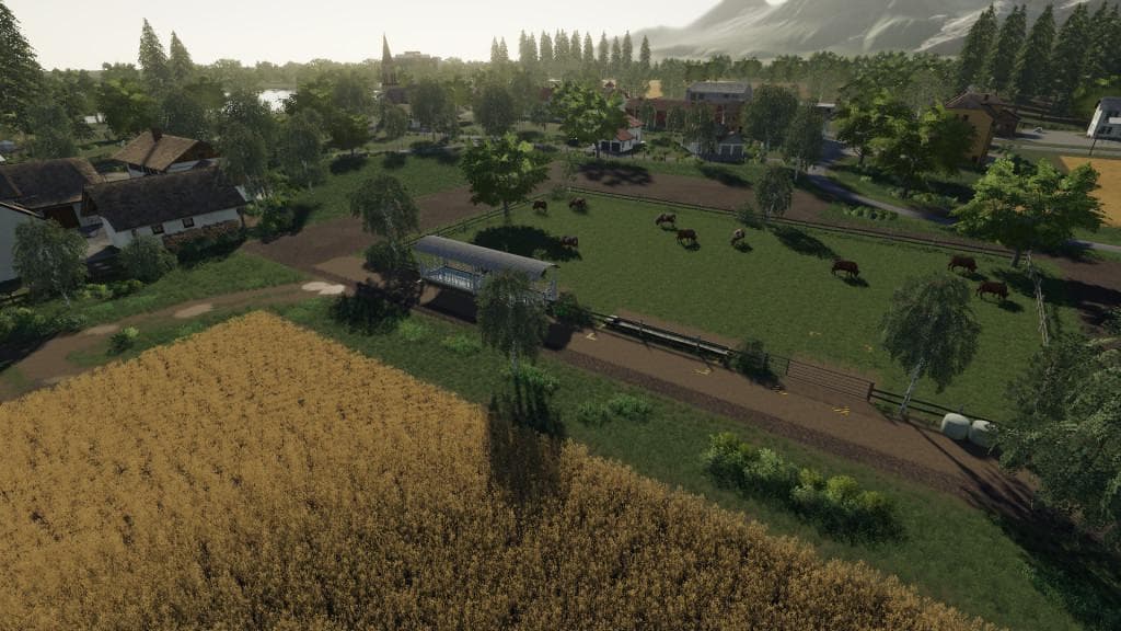 COW PASTURE 3