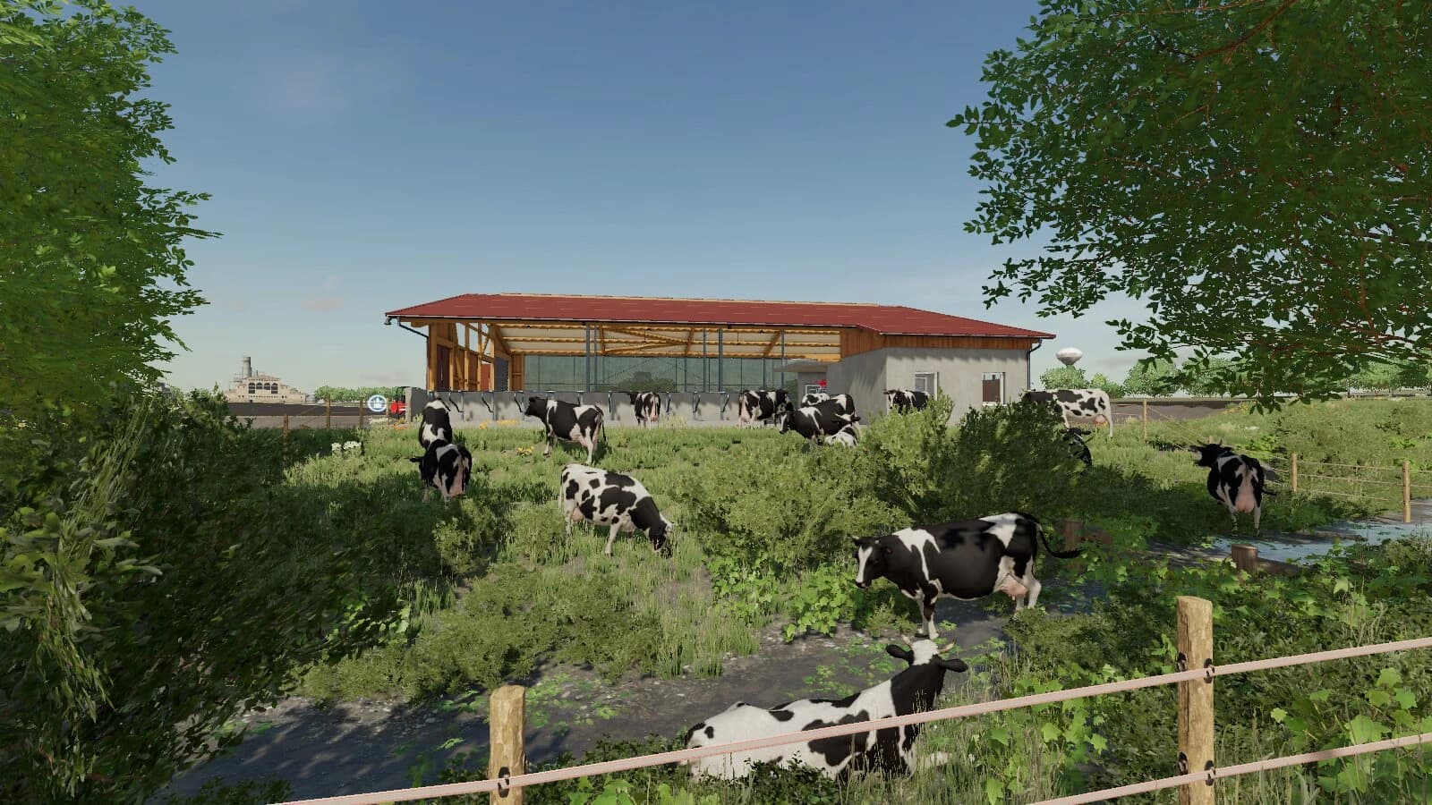 COWBARN MEDIUM 3