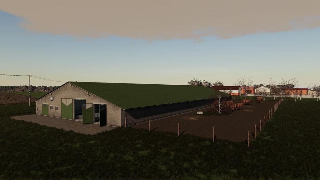 COWS BARN 5