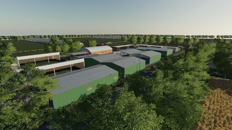 COWS FARM 5