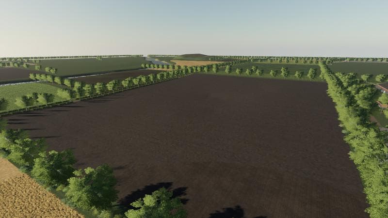 COWS FARM 4