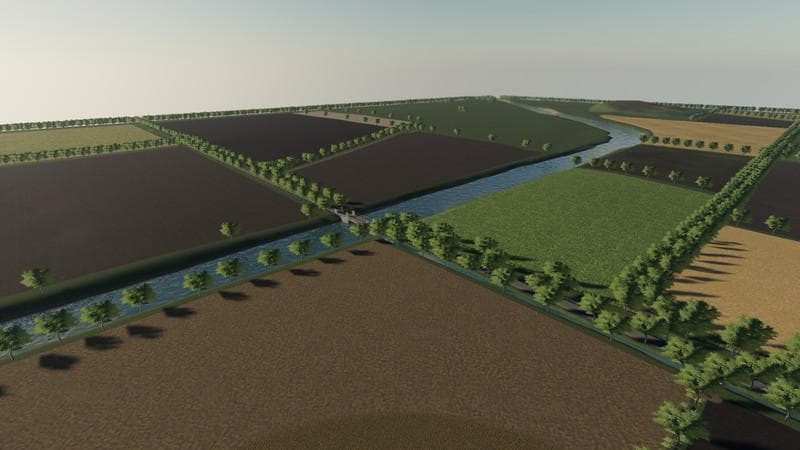 COWS FARM 3