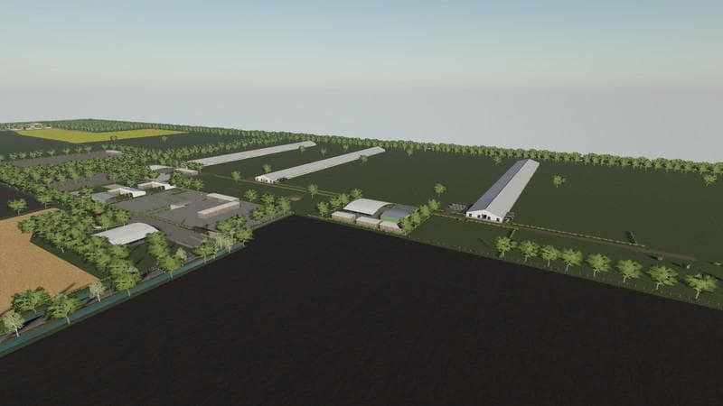 COWS FARM 2