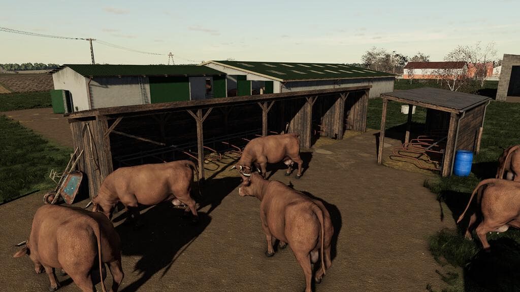 COWS PASTURE 2