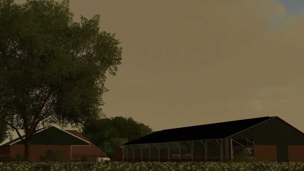 COWSHED 3+0 4