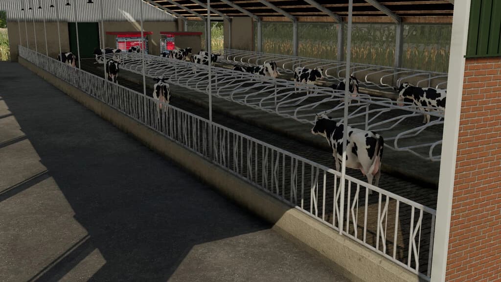 COWSHED 3+0 5