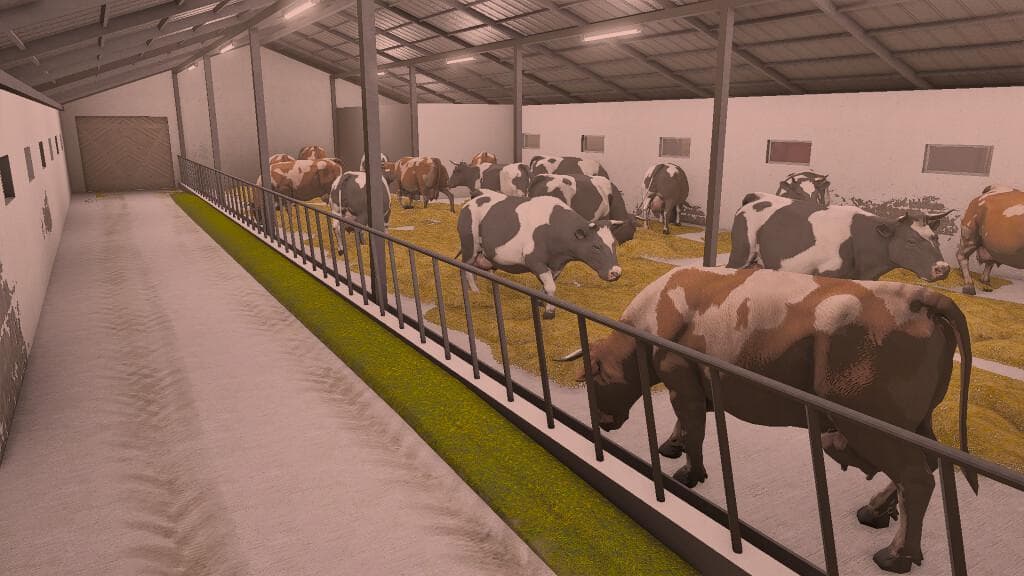 COWSHED 5