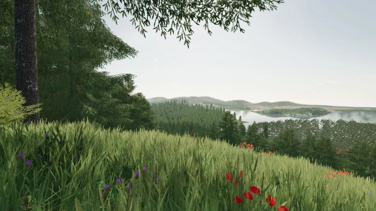 CROOKED HILLS 3
