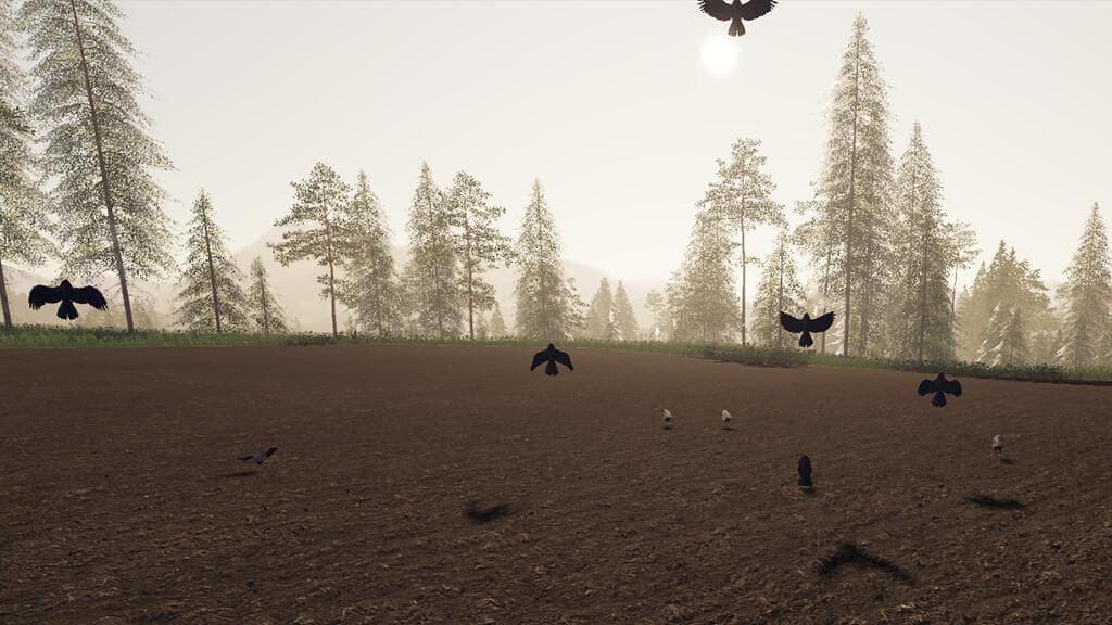 CROWS SOUND FIX 3